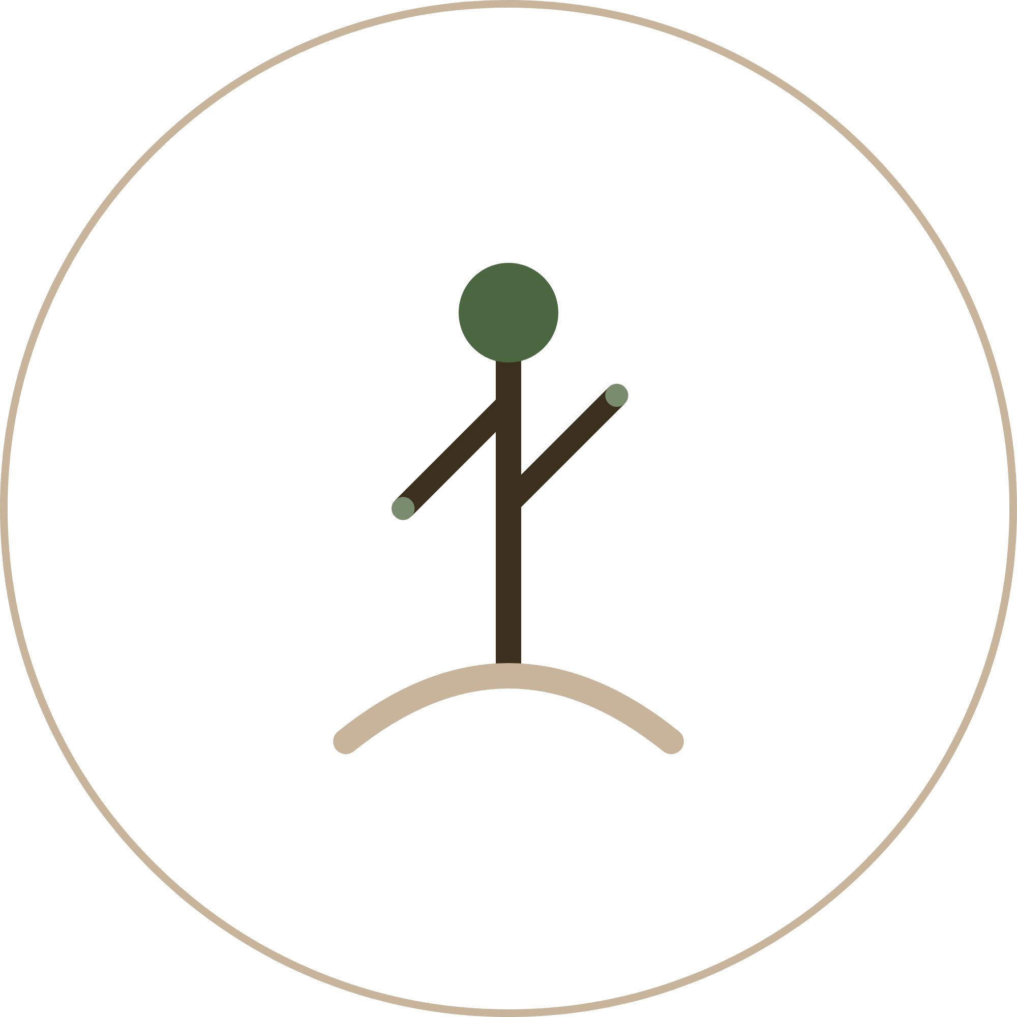Root & Signal mark